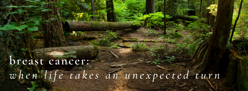 nature scene of trees in the woods of Washington with the text overlay: "Breast Cancer: when life takes an unexpected turn"